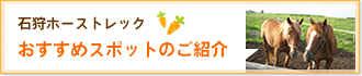 おすすめスポットのご紹介