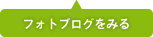 フォトブログをみる