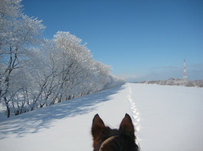 雪上外乗~