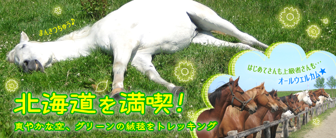 北海道を満喫!爽やかな空、グリーンのじゅうたんをトレッキング